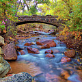 Colorado Fall Colors